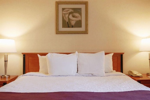Hotel St Denis image 23